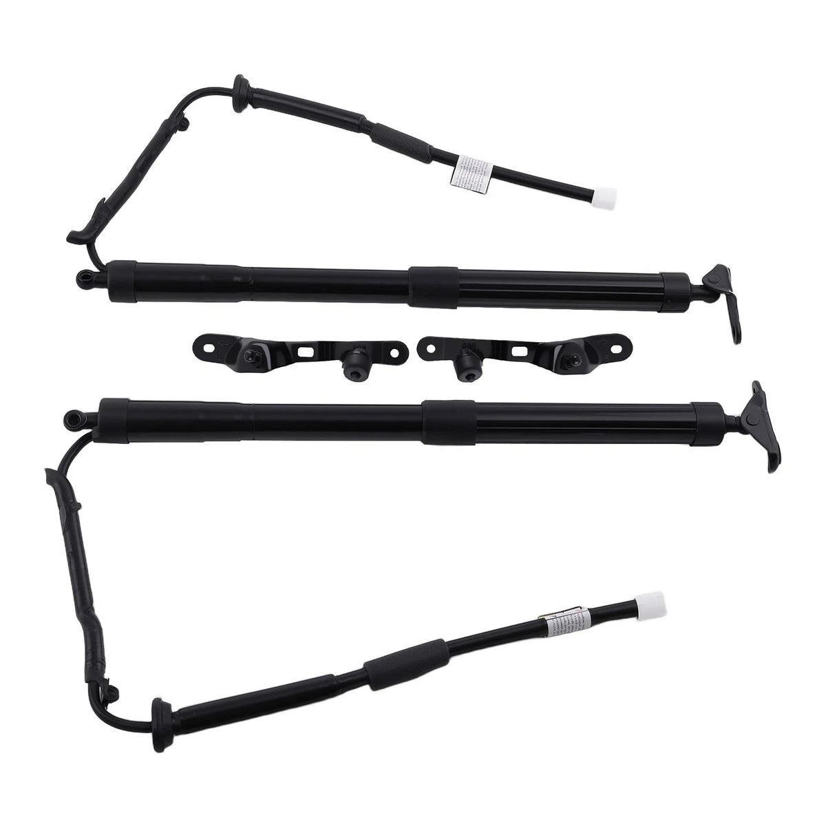 Rear Lift Support Strut Pair for Toyota Highlander 2014–2019