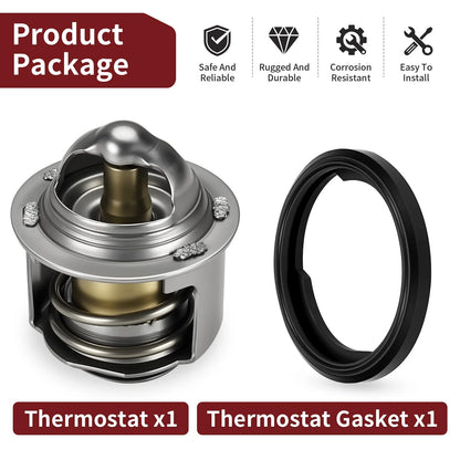 Thermostat & Gasket Set for CH150 CH250 Helix Honda Elite 150 250 1987-2007