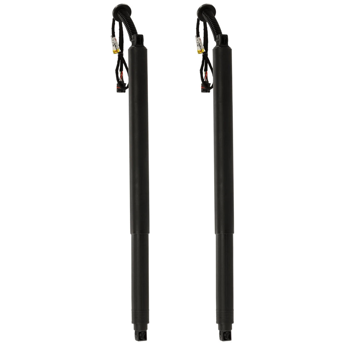 Set of 2 Liftgate Lift Supports for
