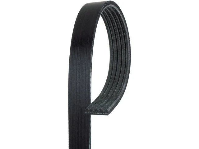 Multi Rib Belt for Jaguar Vanden Plas 1995–1997 (YD584KX)