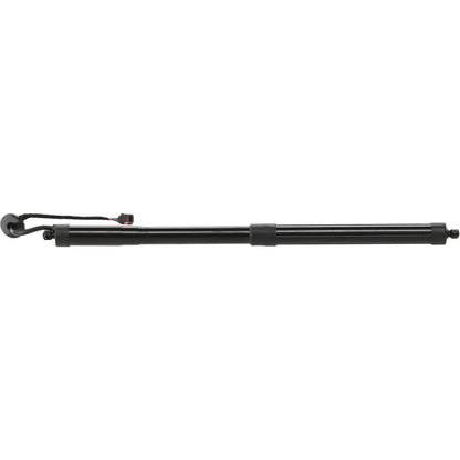 Set of 2 Liftgate Lift Supports for - Driver & Passenger Side