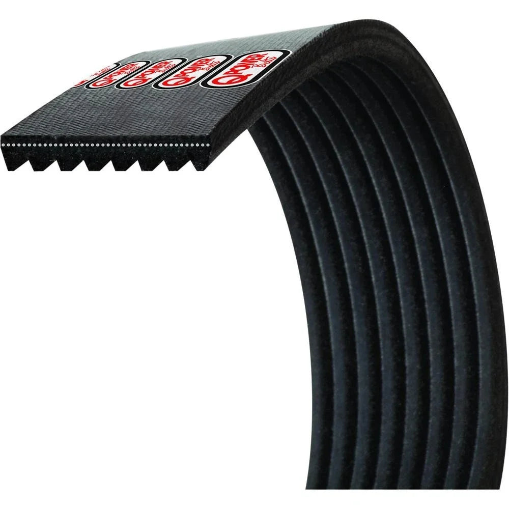 Alternator/Water Pump Belt for AM84238513