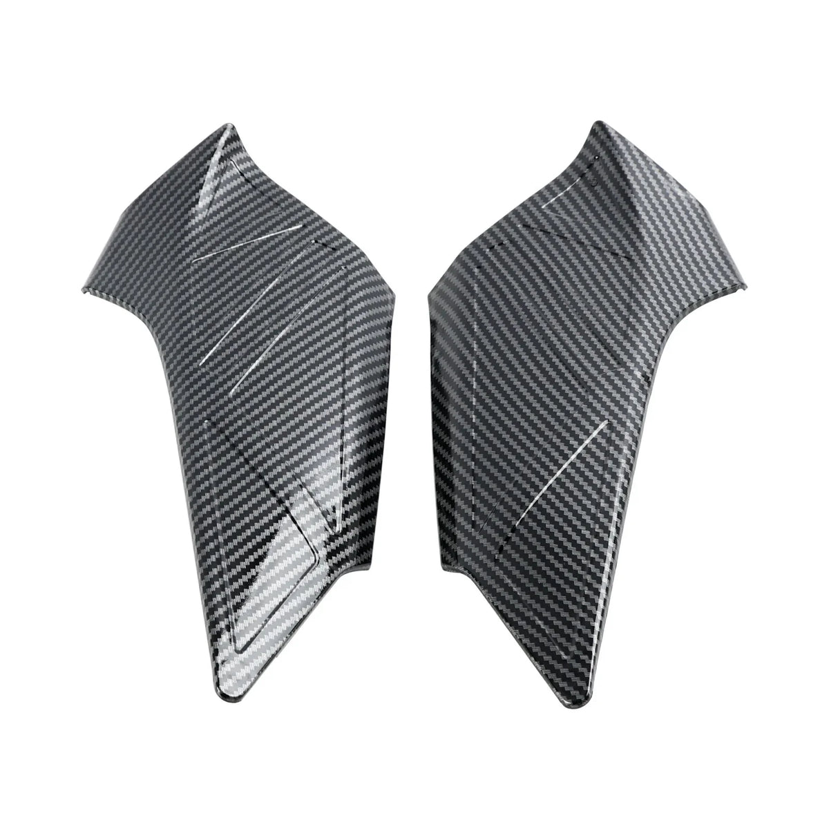 Carbon Side Frame Panel Protector for BMW R1300GS (2024+)