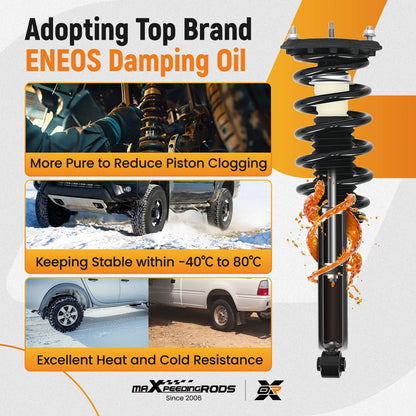 Complete Rear Strut Assembly for Infiniti I35 I30 2000-2004