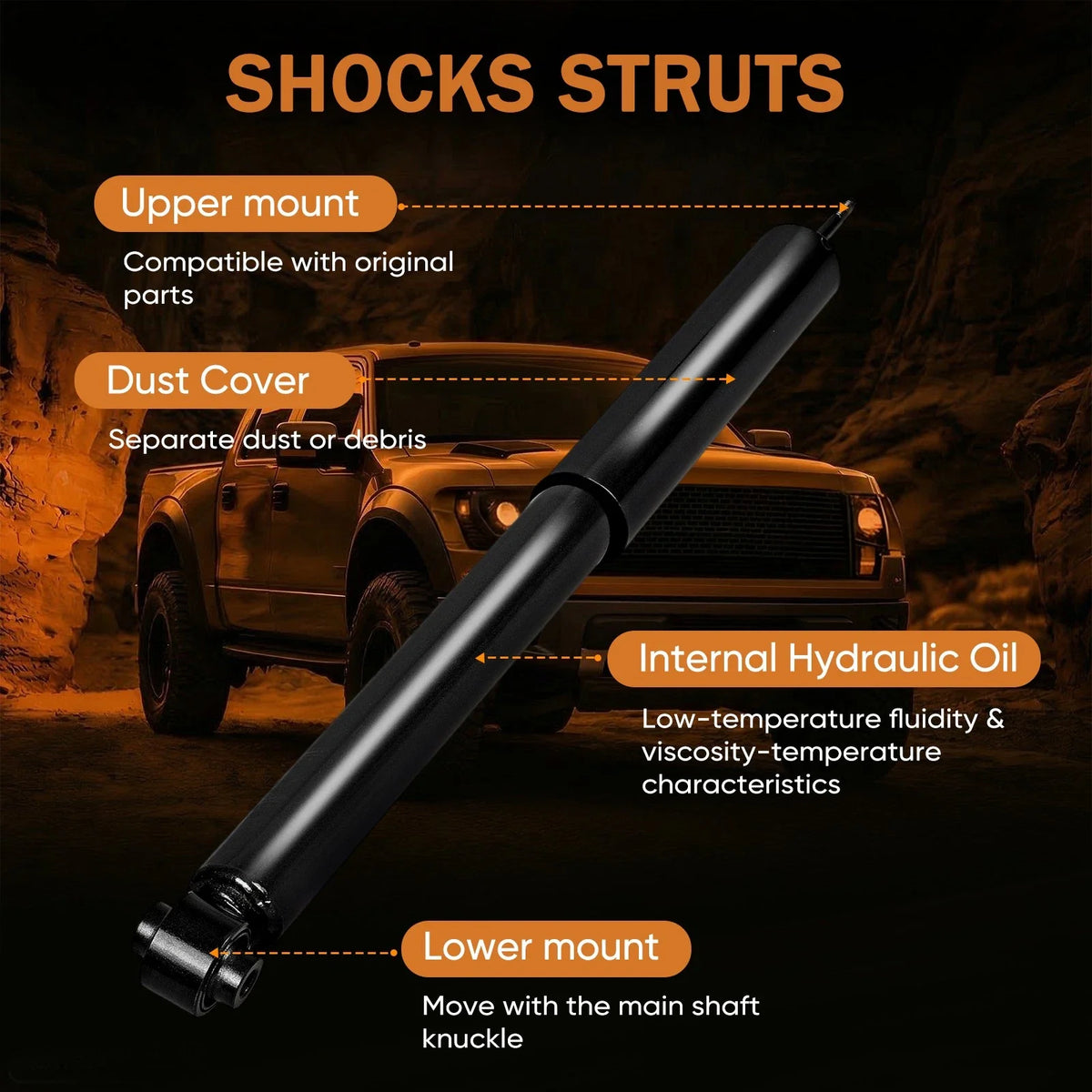 2X Rear Shock Struts Assemblies for Ford Edge / Lincoln MKX (2007–2010)
