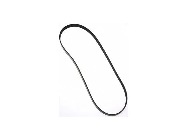 Accessory Drive Multi Rib Belt for Mazda Tribute (2001–2004) PM769FB