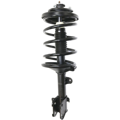 Strut Set of 2