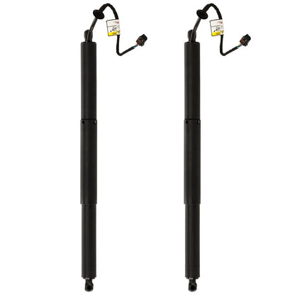 Set of 2 Liftgate Lift Supports for