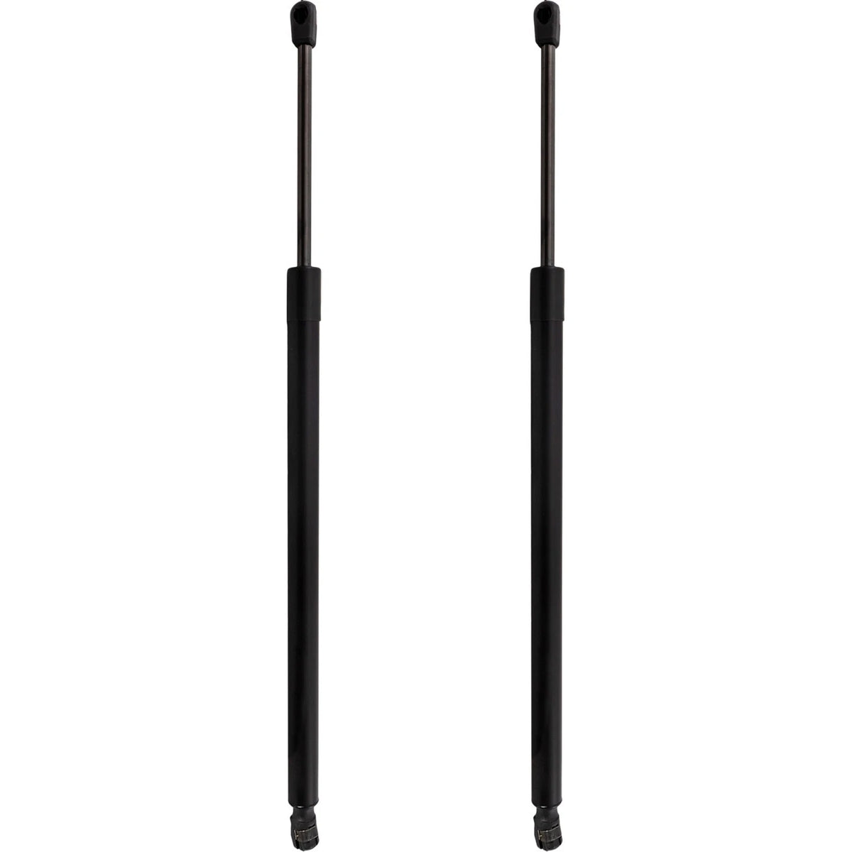 Tailgate Lift Supports Set of 2 for Driver & Passenger Side