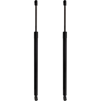 Tailgate Lift Supports Set of 2 for Driver & Passenger Side