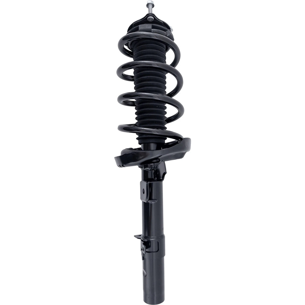 Strut Set of 2