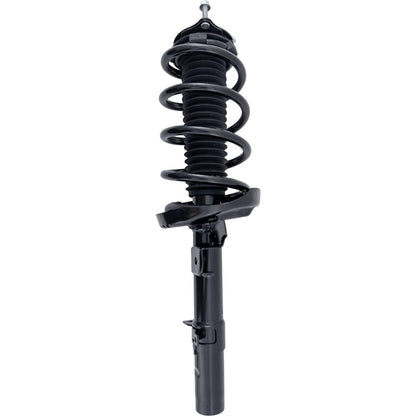 Strut Set of 2