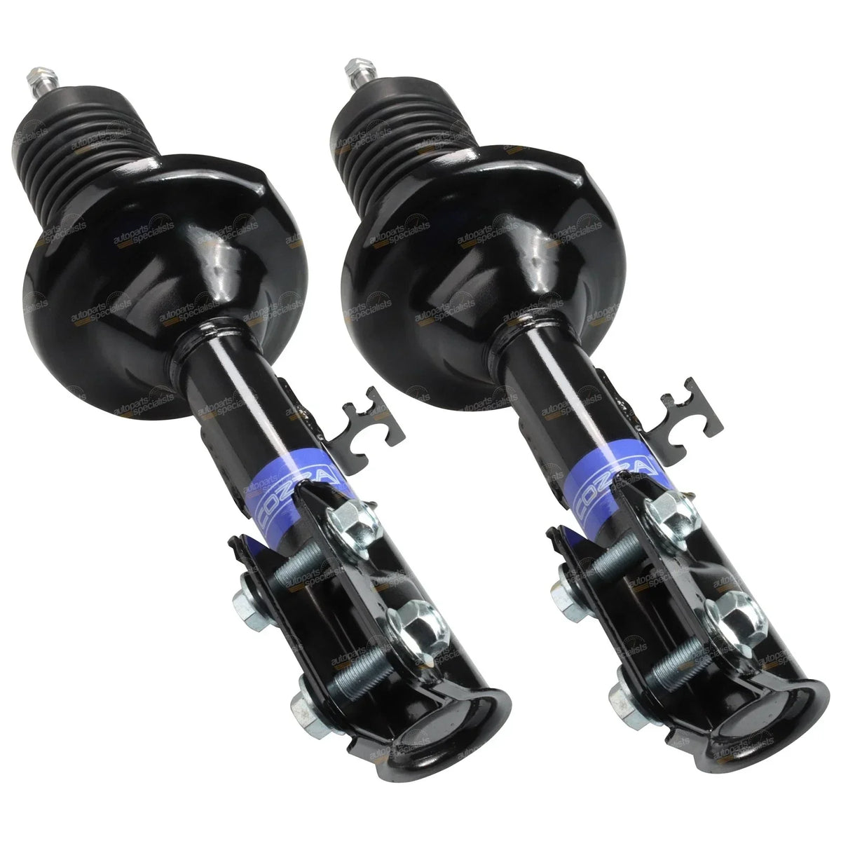 Front Strut Set for VR VS VT VX VU VY Holden Commodore 1993-2004