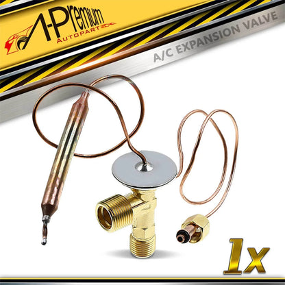 A/C Expansion Valve for Nissan Sentra (1982–1990)