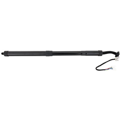 Liftgate Lift Supports Set of 2 for Driver & Passenger Side (2010–2015)