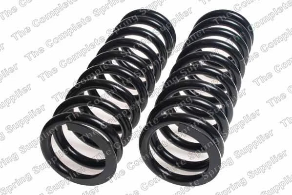 Heavy Duty Front Coil Spring Kit for Buick (4112159)