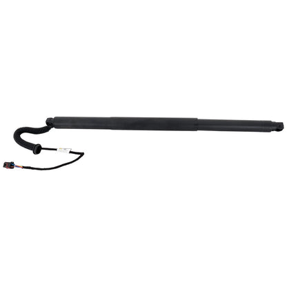 Liftgate Lift Support for VW (5NA827851A)