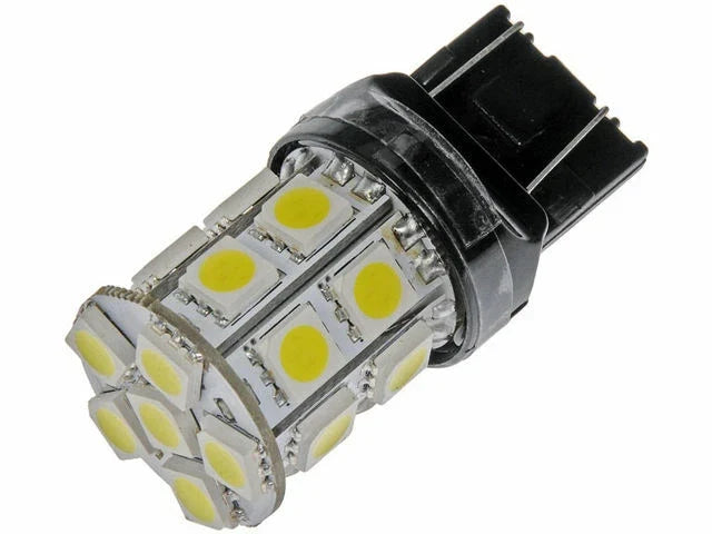 Tail Light Bulb for Mazda 626 (2000–2002) Y813JP