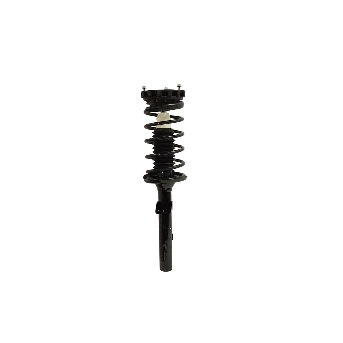 Strut Set of 2 for Sedan (Rear Driver & Passenger Side)