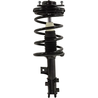 Set of 2 Loaded Struts for