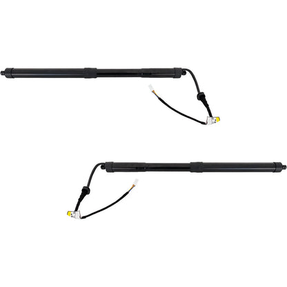 Liftgate Lift Supports for - Set of 2, Left & Right
