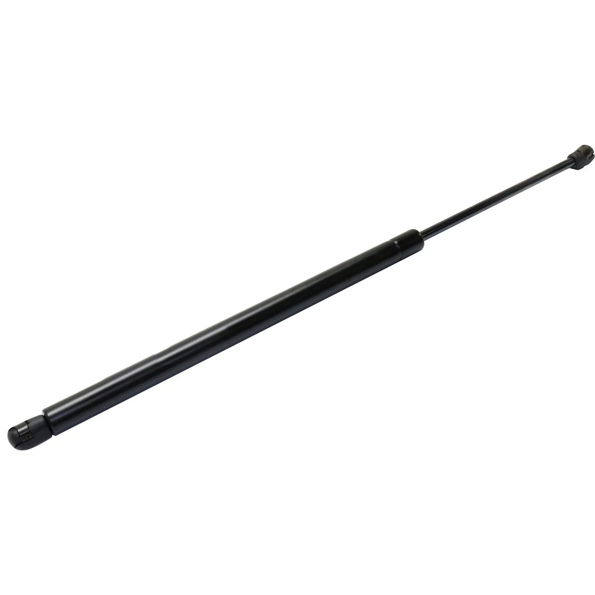 Liftgate Lift Support for Right Left Driver Passenger