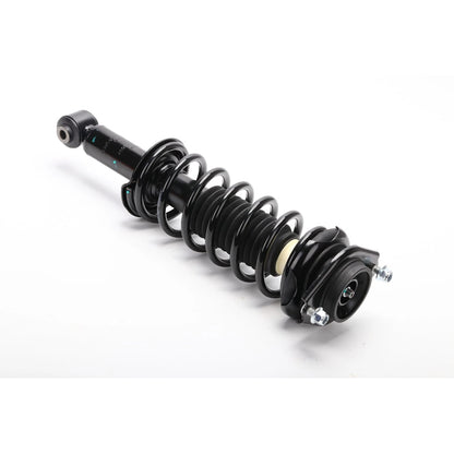 Strut Assembly for - Rear Left/Right Side