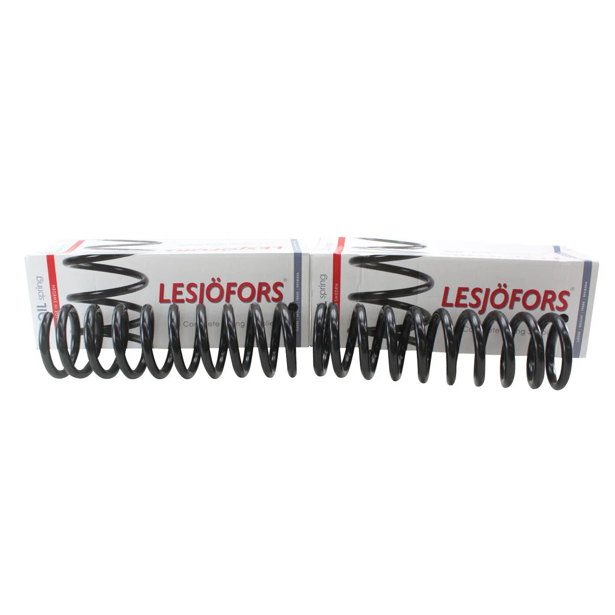 Front Coil Spring Set for Pontiac Buick Chevy Cadillac (4112124)