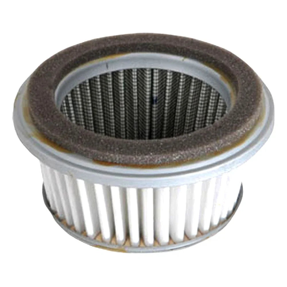 Air Filter for Wisconsin Robi (B1SB6704)