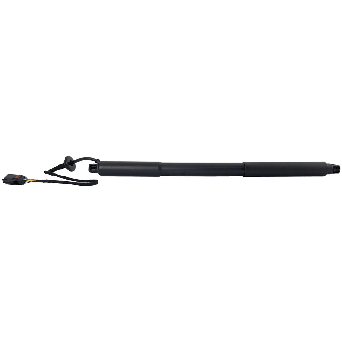 Set of 2 Liftgate Lift Supports for