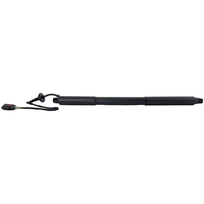 Set of 2 Liftgate Lift Supports for