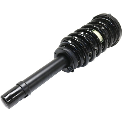 Strut Set of 2
