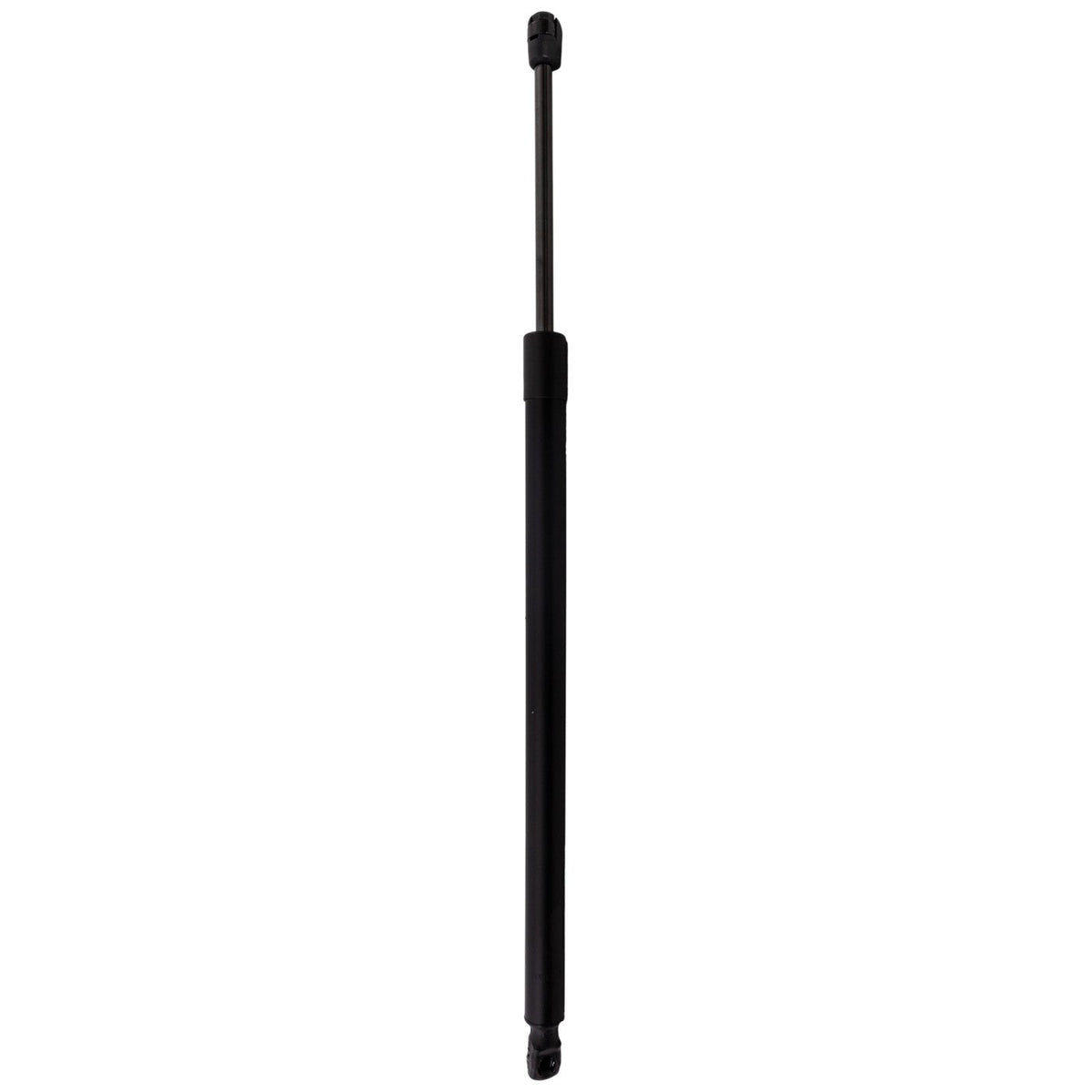 Tailgate Lift Support for Lexus NX250 (2022–2023)