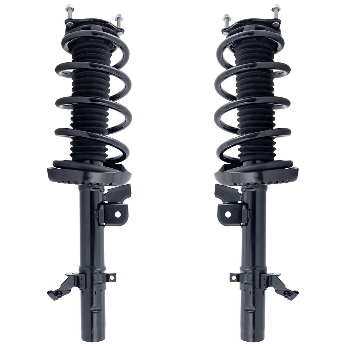Set of 2 Loaded Struts