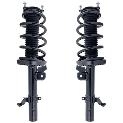 Set of 2 Loaded Struts