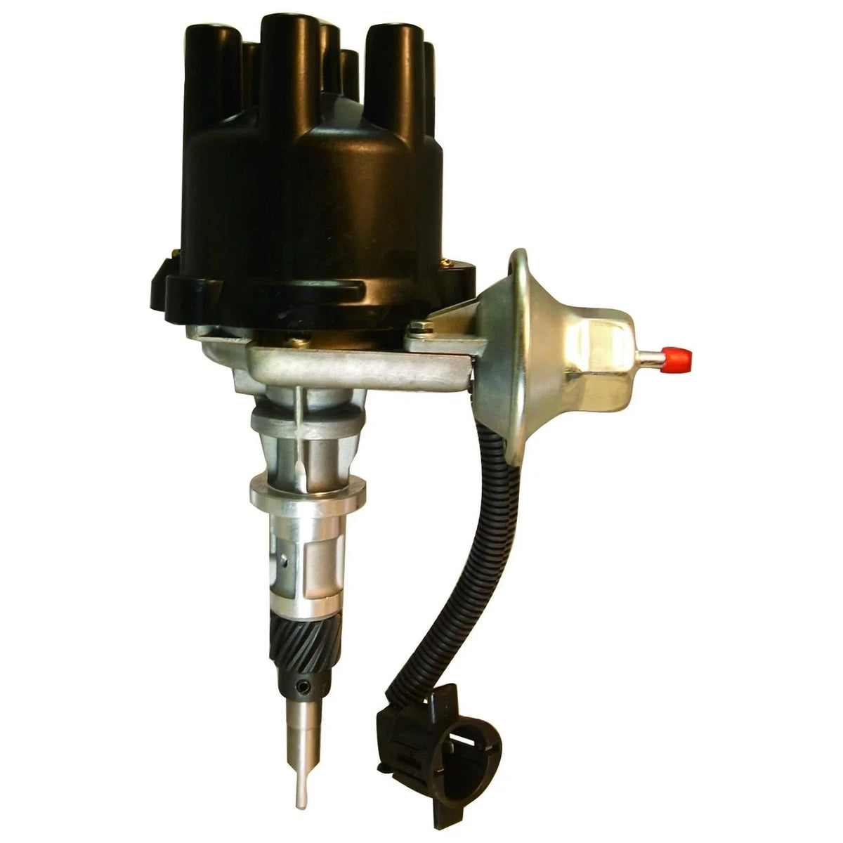 Distributor for AMC Jeep 258cid 4.2 232cid 3.8 Straight 6 (1978–1990)