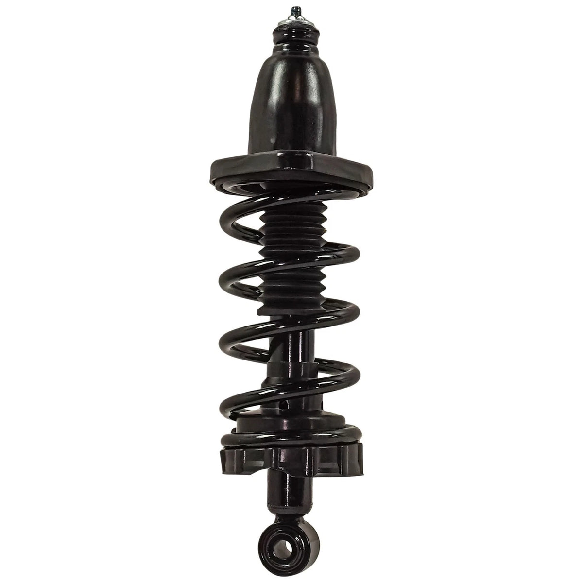 Strut Set of 2 for Rear Left Right Pair