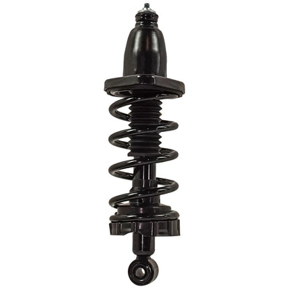 Strut Set of 2 for Rear Left Right Pair