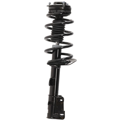 Set of 2 Loaded Struts