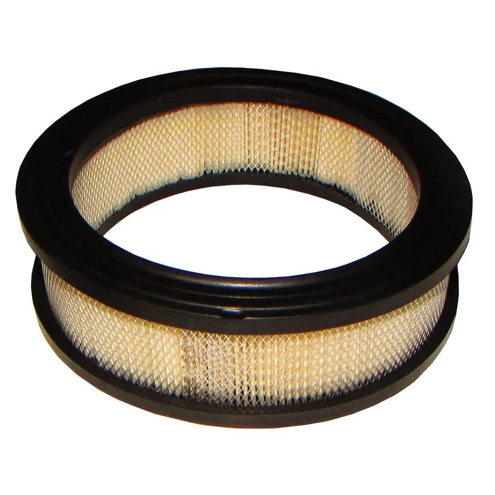 Air Filter for Tecumseh HH80, HH100, HH120, OH140, OH160, OH180 (Fits Lawnmower)