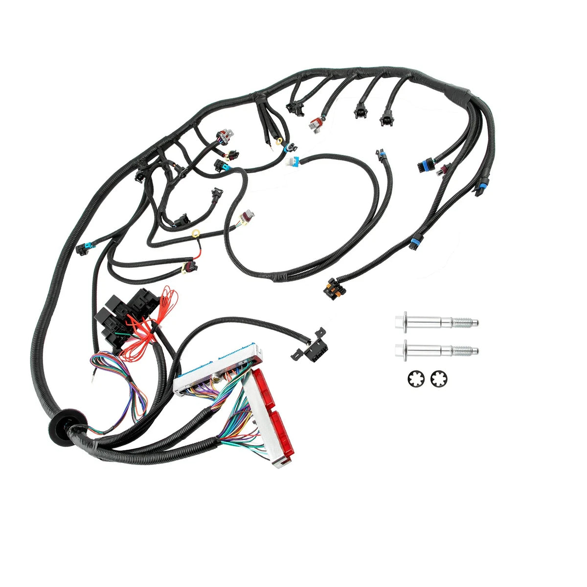 Stand Alone Wiring Harness for LS Truck (1999–2006)