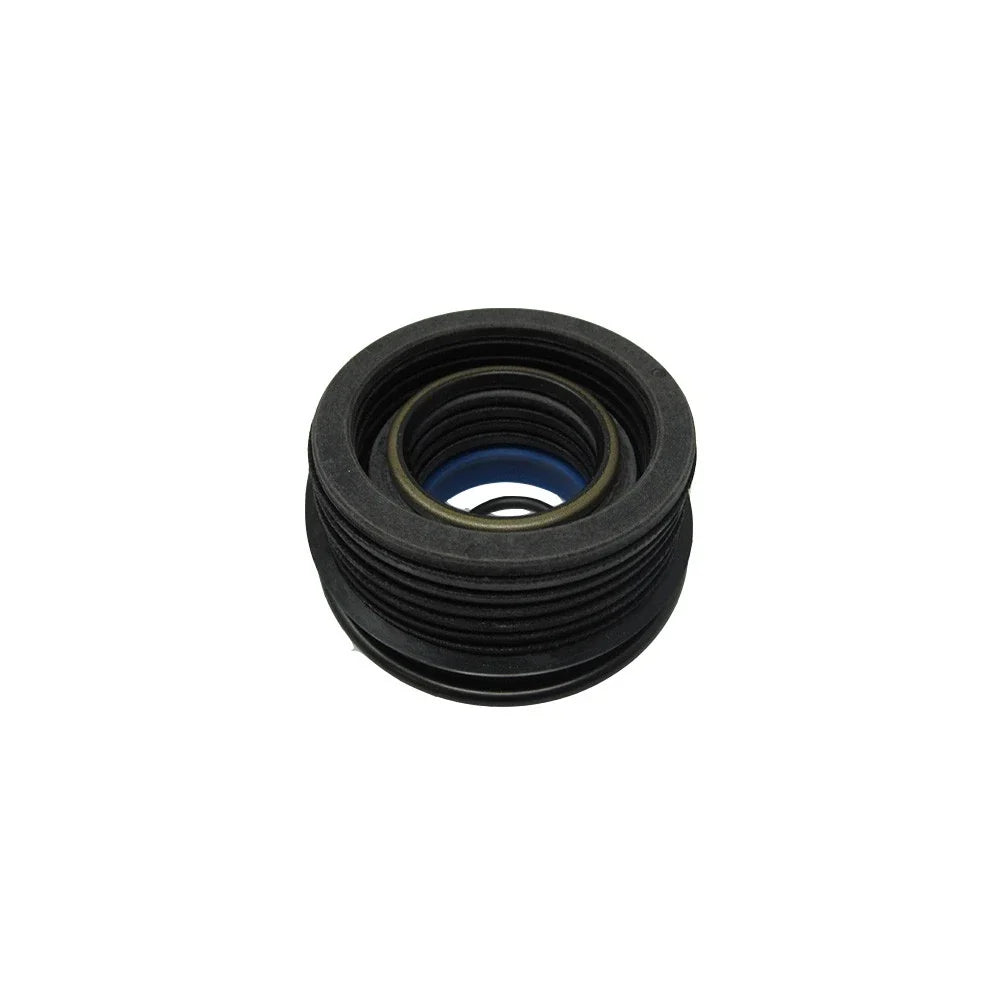 Seal Kit for Ford Loader (1.25" Rod, 2.375" Bore, 251166)