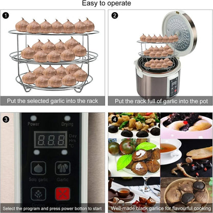 90W Fermenter for Black Garlic with Automatic Temp Control