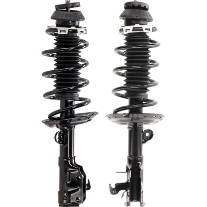 Set of 2 Loaded Struts