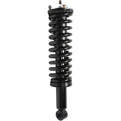 Set of 2 Fully Loaded Struts