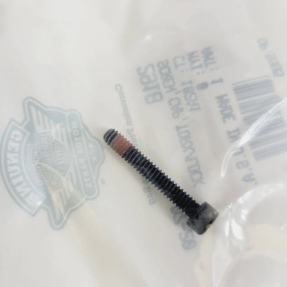 Screw Cap with Torx Lock for Harley-Davidson (2918)