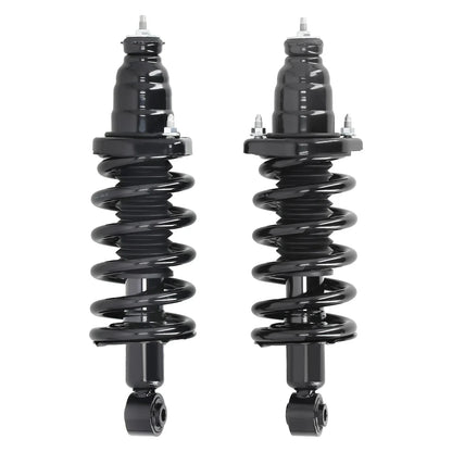 Rear Strut Set for 2003-2011 Honda Element
