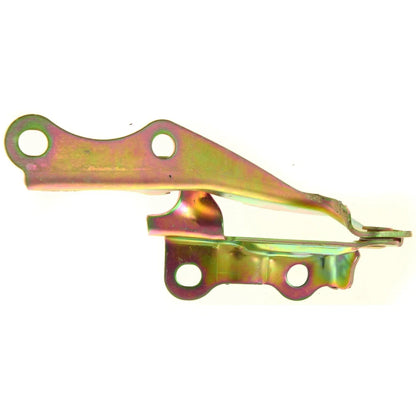 Hood Hinge Set for Toyota Avalon (2000-2004), Driver & Passenger