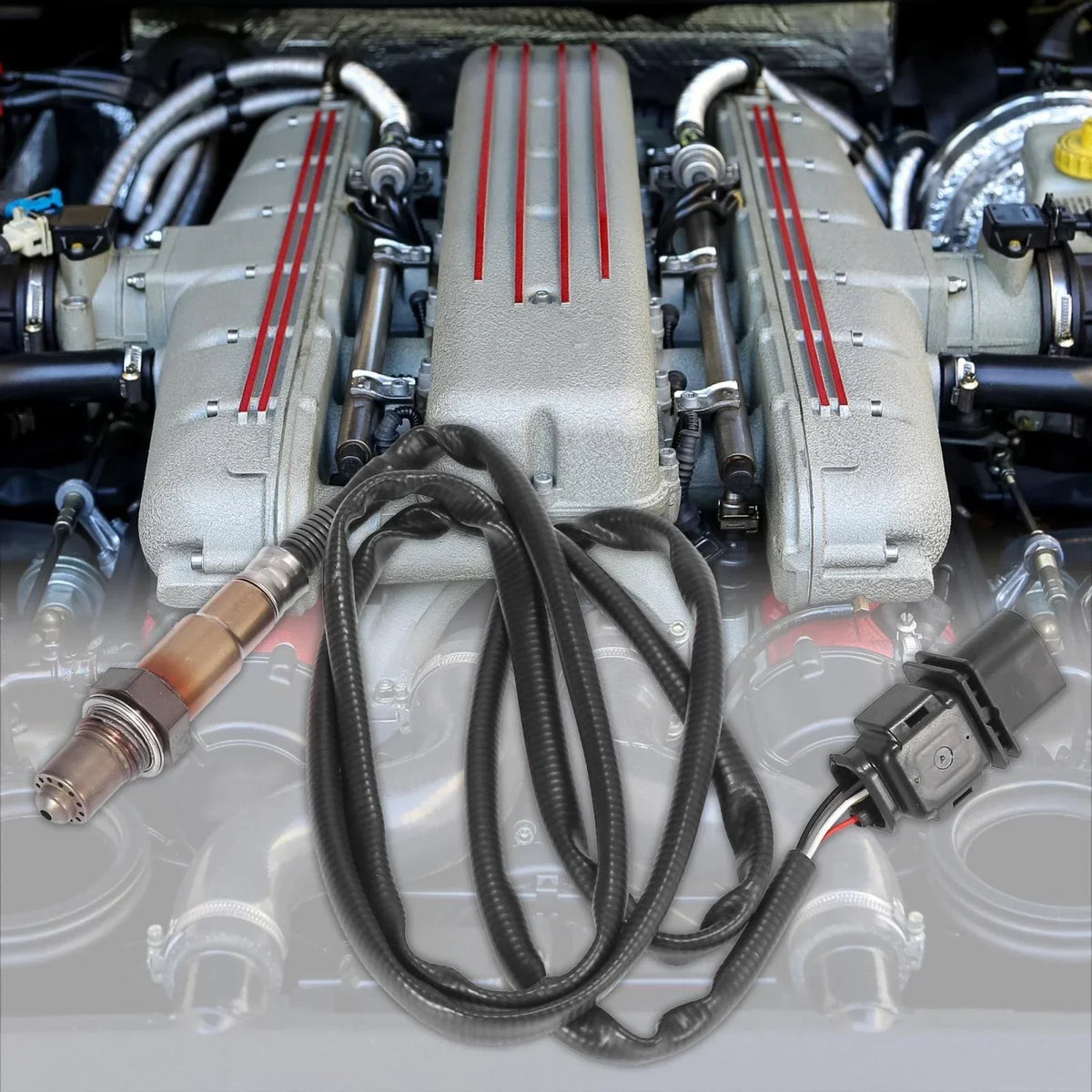 Upstream Oxygen Sensor for 2006-2007 BMW 525i