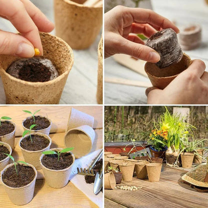 Set of 100 Biodegradable Flower Plant Nursery Pots